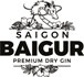 Saigon Baigur